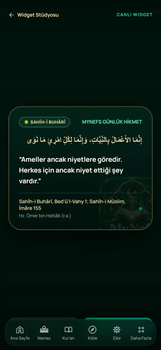 Ana Ekran Widget'ı ekranı