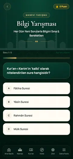 Bilgi Yarışması